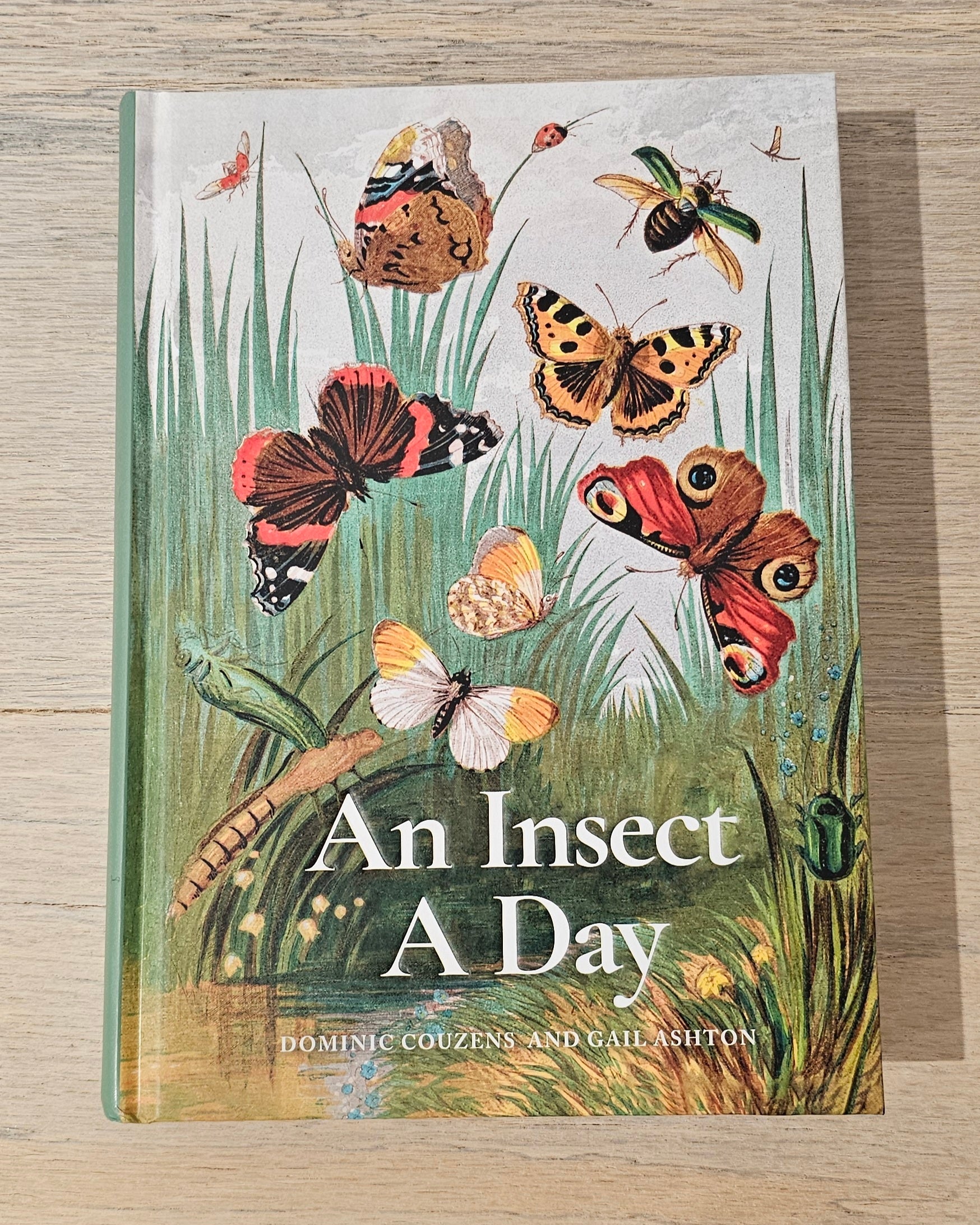 An Insect a Day